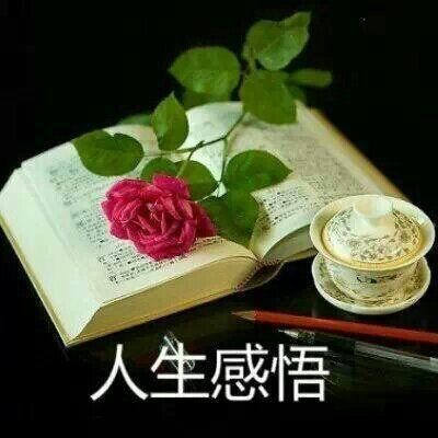 【九江文学社:北京头条】隆重推荐欣赏杨成贵先生精彩笺言(图4)