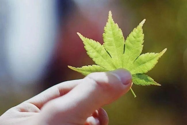 【九江文学社:北京头条】隆重推荐欣赏杨成贵先生精彩笺言(图5)
