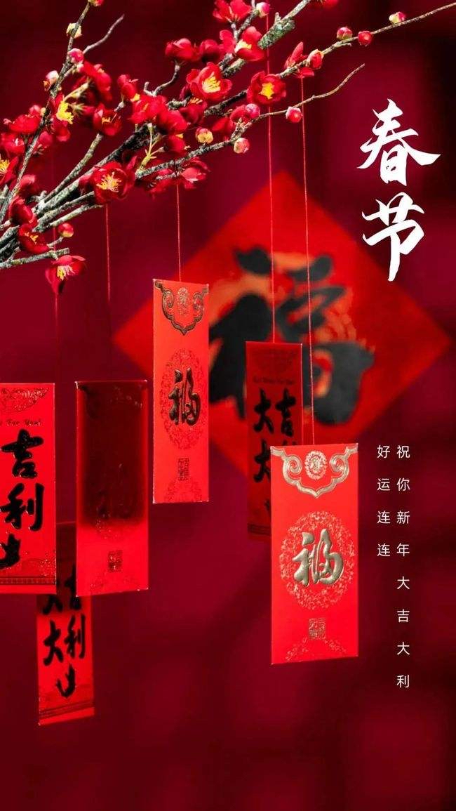 【梅园之音】听安湛朗诵《拜年》作者：王春光（图8）