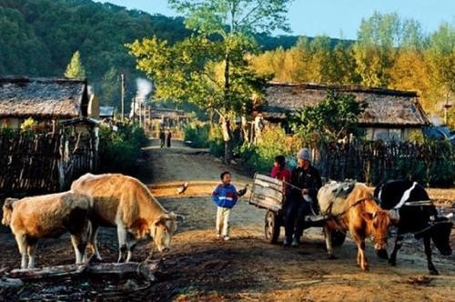 【隆重推荐】“东北精华“//2022新春佳节全国诗人佳作展(图29)