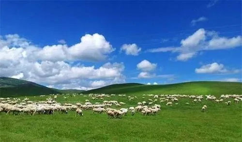 【桃源馨声】东升大草原‖作者:周静伟‖主播:芳草青青【总1061期】（图6）