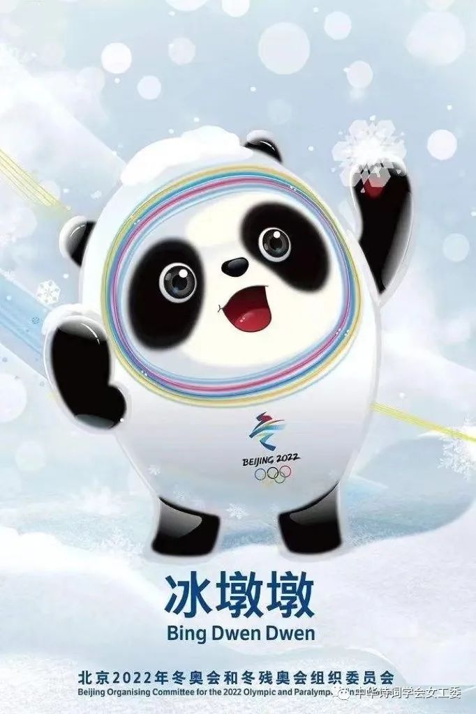 宁夏楹联学会《喜迎北京2022年冬奥会.全程》特辑!都市头条--西银/北京/上海头条!(图15)