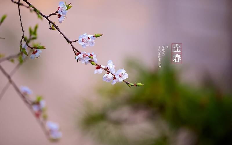 【春韵】姚朝文老师//七律•立春｛欣赏｝（图3）