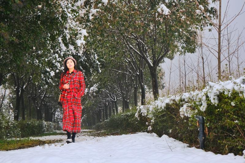 雪之恋