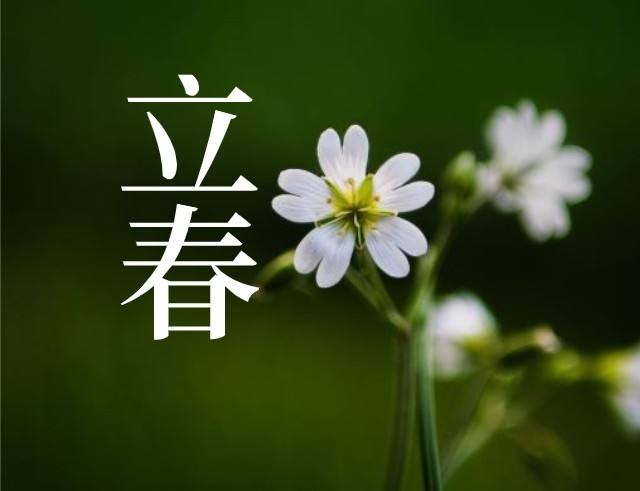 〔格律诗小辑〕作者 薛利江 (内蒙古)【冰心文化传媒】制作(图5)