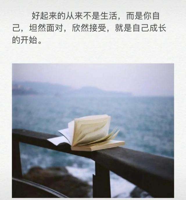 浅说眼光 铁裕(云南)【冰心文化传媒】制作 冰心(图3)