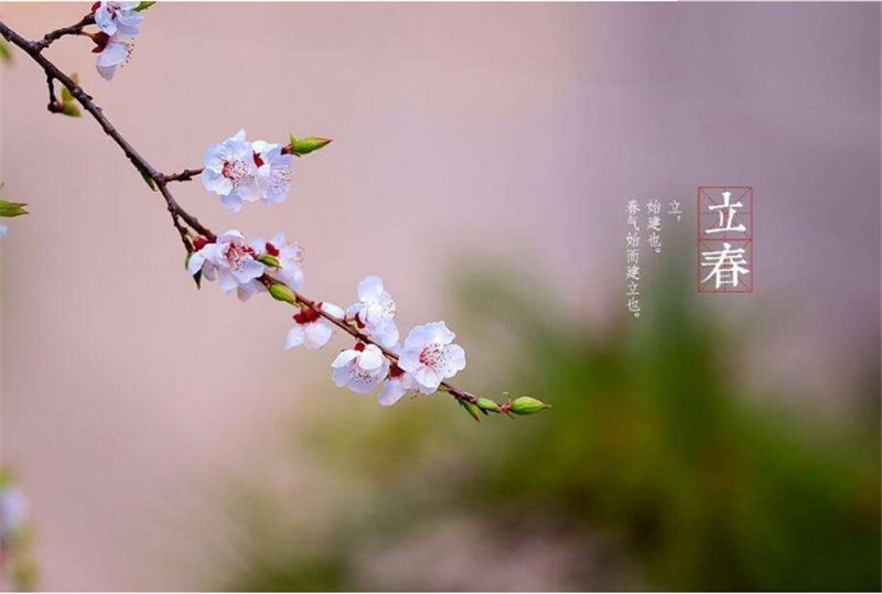 【新诗大观】春天来了||文/金粉玉蝶