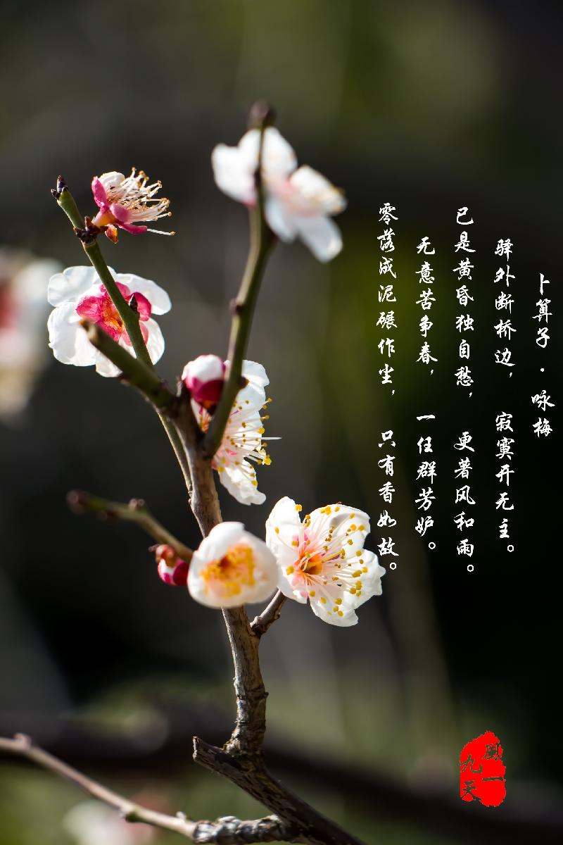 陈洪阅先生优美七绝六首｜江苏泗洪都市文学社 17期｜韵芘胡桂芹感怀（图5）