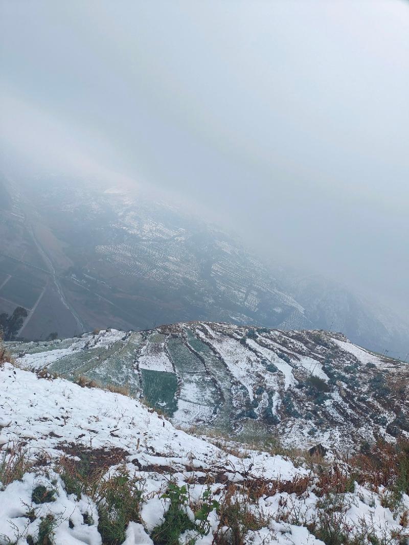 《落雪的早晨》作者：李会涛；金牌主播：山涧红枫；编辑：宋梅【中国长江文学社】有声文学平台第3265期（图4）
