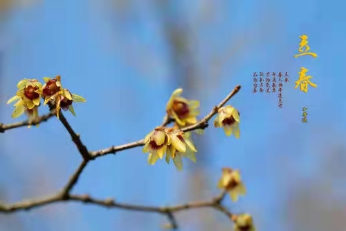 【新诗大观】新年随感（外五首）||文/豆素彩（图5）
