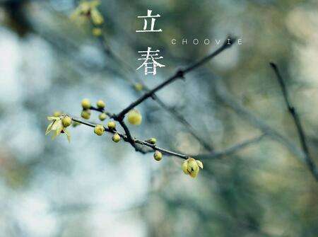 《立春了》作者/丁五木 主播/秋子 编辑/胡琴