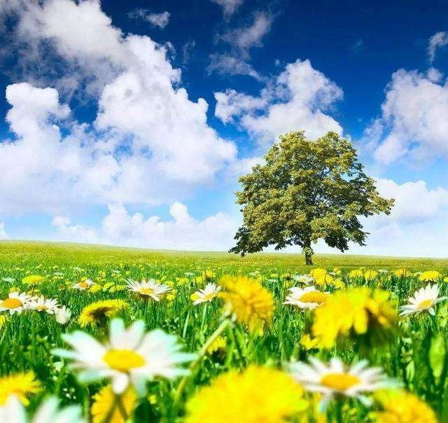 请欣赏张荔生老师的诗词专辑（图14）