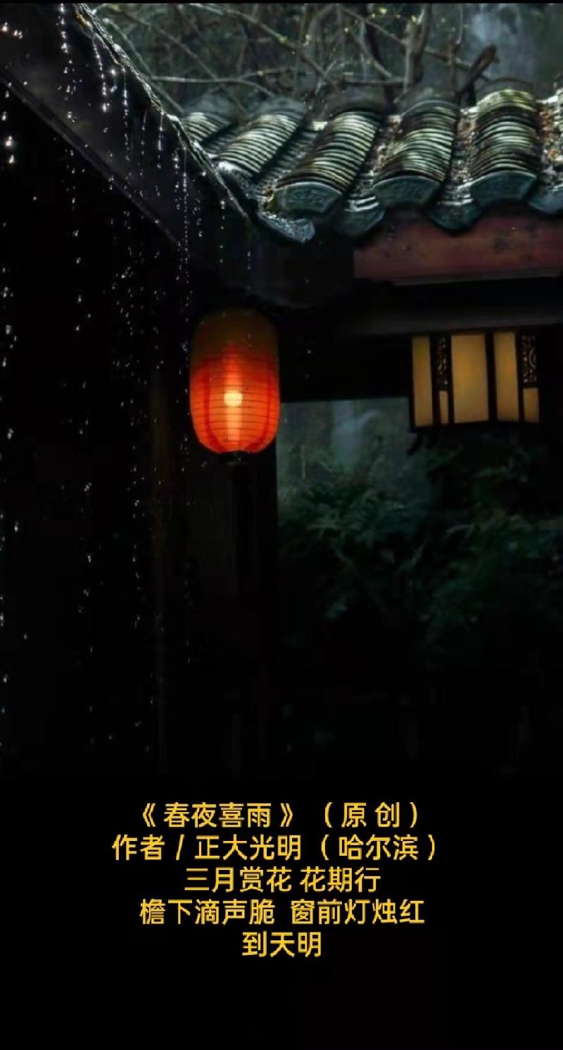 题图微诗三首《 回家过年 》( 原 创 )作者/正大光明( 哈尔滨 )京津沪头条(图3)