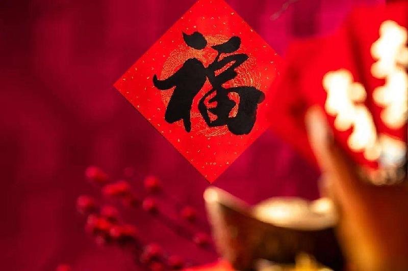 CCTV全球爱华诗歌春晚2022澳大利亚会场圆满成功【世界诗人名人展】（图9）