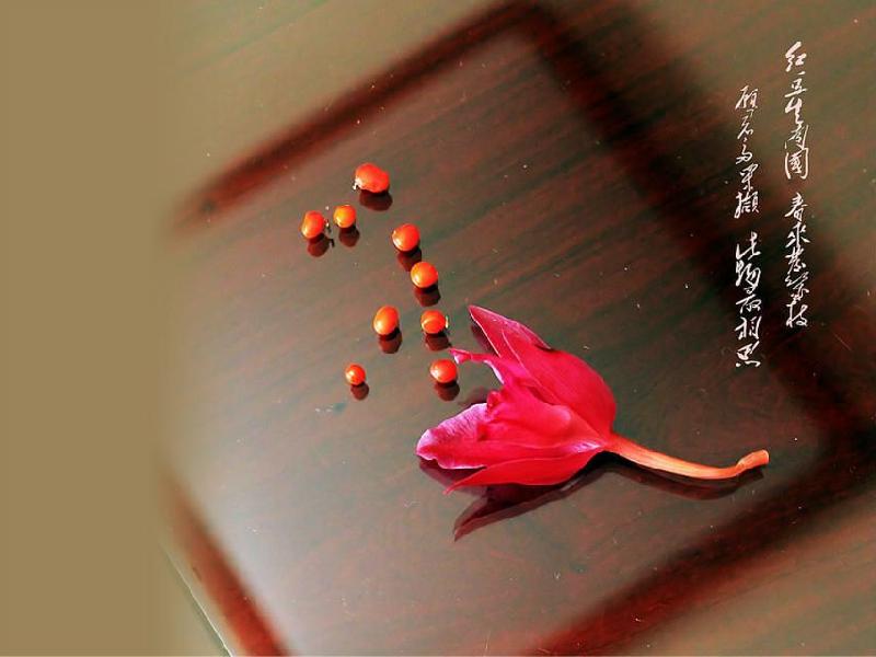 【雅诗总会】精品★死蝶(外十八首)‖作家:肖天(图7)