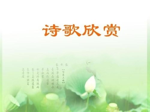 《给一个爱的时间》作者: 赵刚【金牌主播 孙菱】【华人诗者联盟】为你诵读专属的诗♬(图4)
