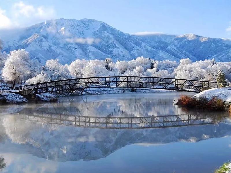《春雪》作者/周峰 主播/秦芳 编辑/胡琴（图2）