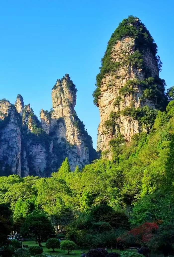 心尘文艺(图3)