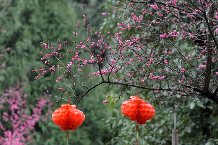 鹧鸪天：春望 卓顺贵（图2）
