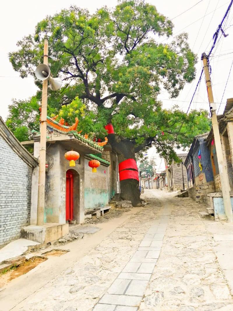 “魅力井陉”大赛优秀作品 ｜ 组图《井陉山乡》｜吴义刚（图10）