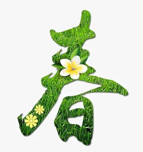 【英国文学】精品朗诵《春天的礼物》作者|慢悠悠(中国)、朗诵|诗韵(新西兰)(图3)