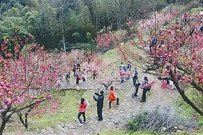 朱守平：新作四首 请欣赏（图4）