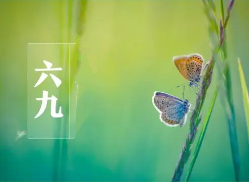 安忠和：新作五首 请欣赏（图2）