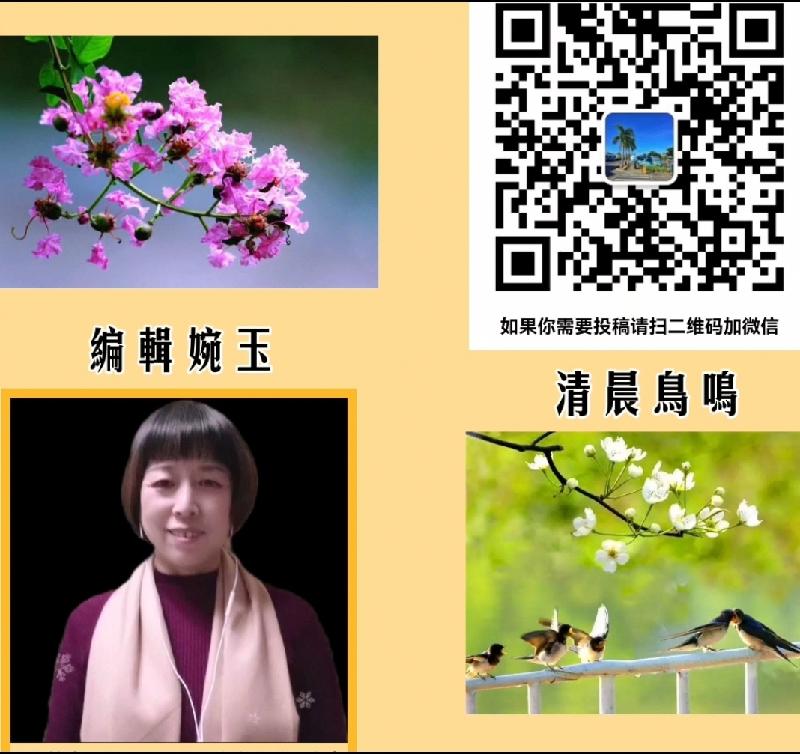 一位资深教育工作者的爱国情怀《雪中想母亲》作者/李志(图8)