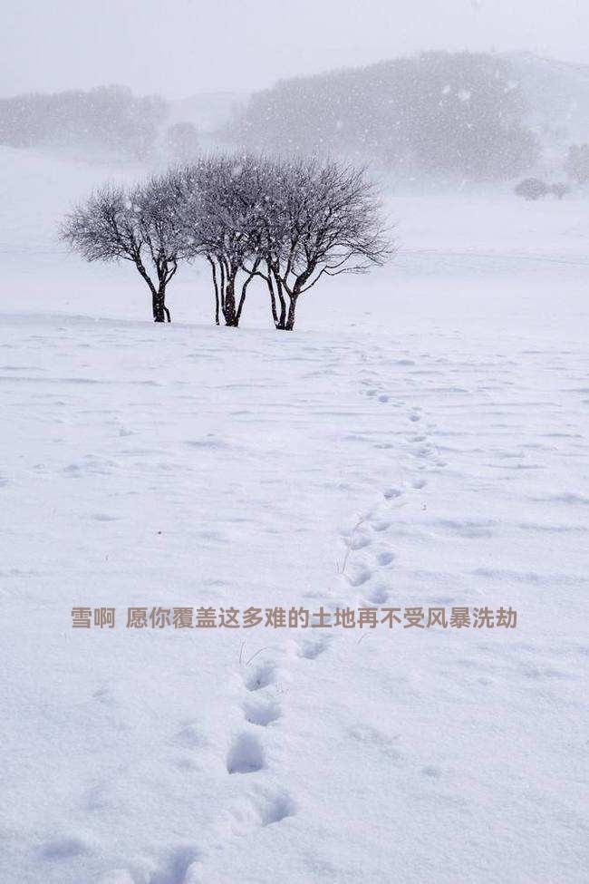 缘容诗歌ll雪啊!银白的雪ll诵读 怡霖(图4)