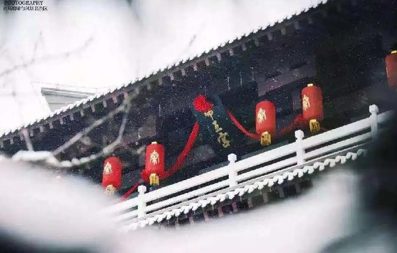 青岛聆泉诗社038期|春赋雅吟百首【其一】(图6)