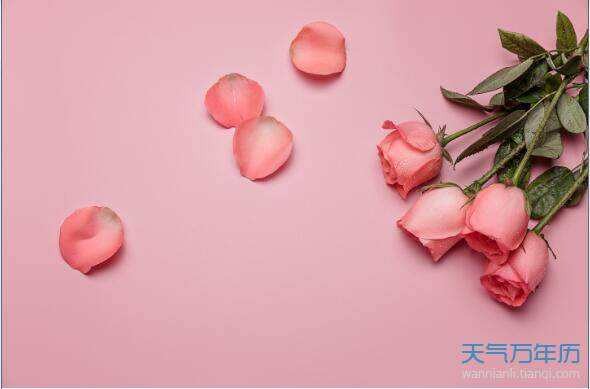 〔格律小辑〕作者 王香谷（悉尼）【冰心文化传媒】制作 冰心（图9）