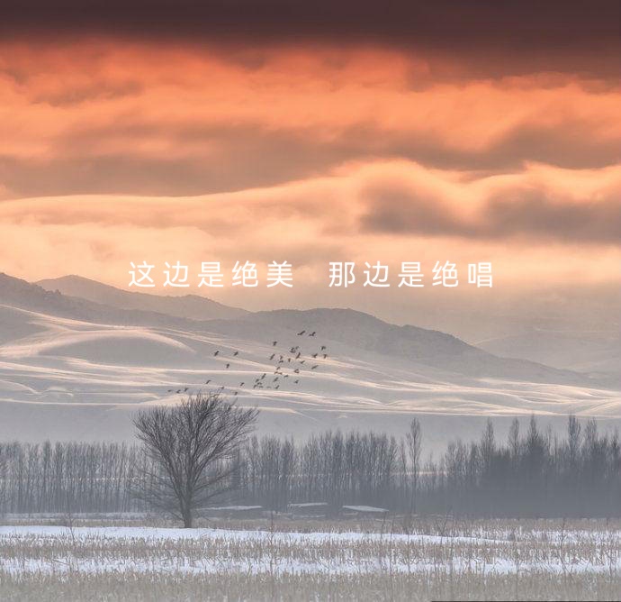 桑恒昌诗歌 ll 致情圣诗人徐志摩 ll 诵读 老菩提（图6）