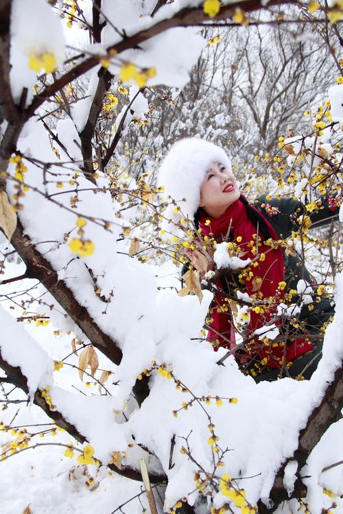 【新山东文学社】《雪花颂》作者/书乐 主播/吴涵伟（图7）