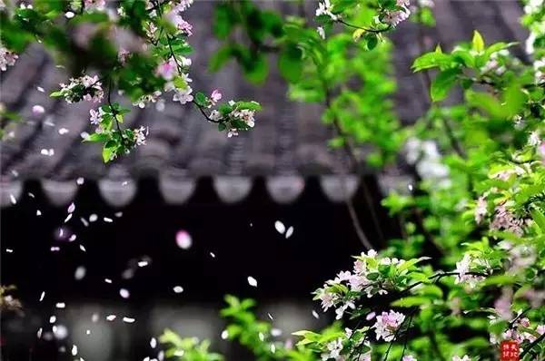【都市头条向幸福出发编辑部】第169期 重逢 文 如月 主播 缨子（图4）