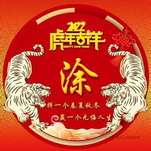 【迎新春 续新篇】原金荣//寅虎春光｛系列作品展｝（图2）