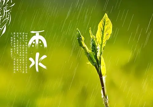 陈光：观雨(作者:陈光 诵读:沈虹)（图6）