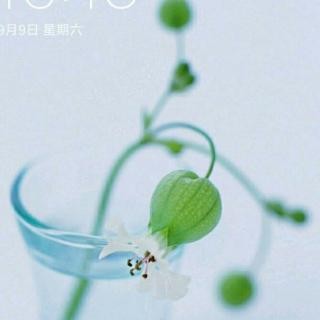 《七绝四首》作者:王兴春;金牌主播:雯煜;编辑:宋梅【中国长江文学社】有声文学平台第3378期(图6)