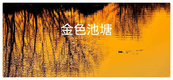 金色池塘 金色梦想ll作者 许木启ll诵读 坊柃 艳滨 狼者之风 林枫(图3)