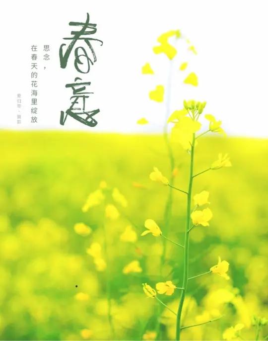 两同心《春意》（晏几道体）作者：郭银荣 
