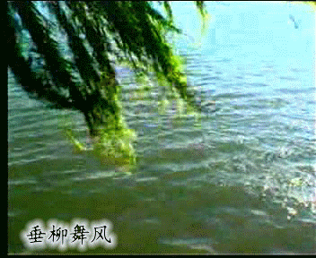 〔诗歌专辑 二〕程宝玉（内蒙古）（冰心文化传媒】主编冰心（图57）