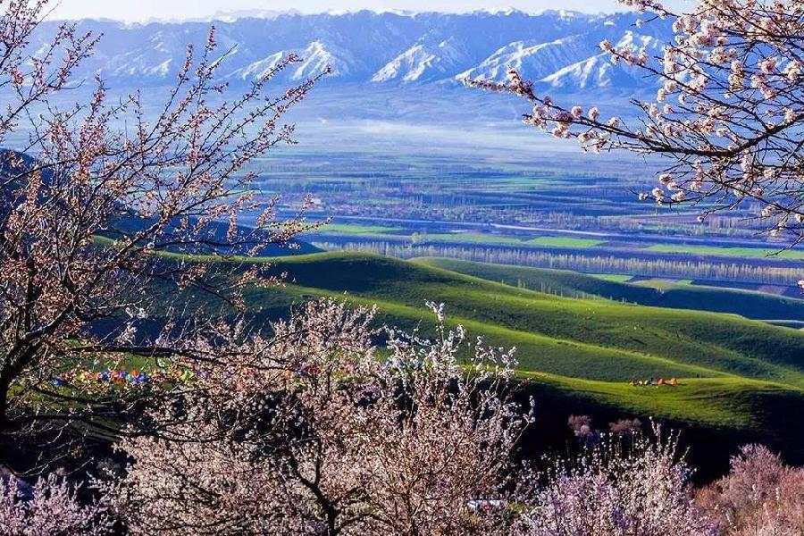 【新诗大观】春之约||文/邵峰||诵/文嘉(图8)