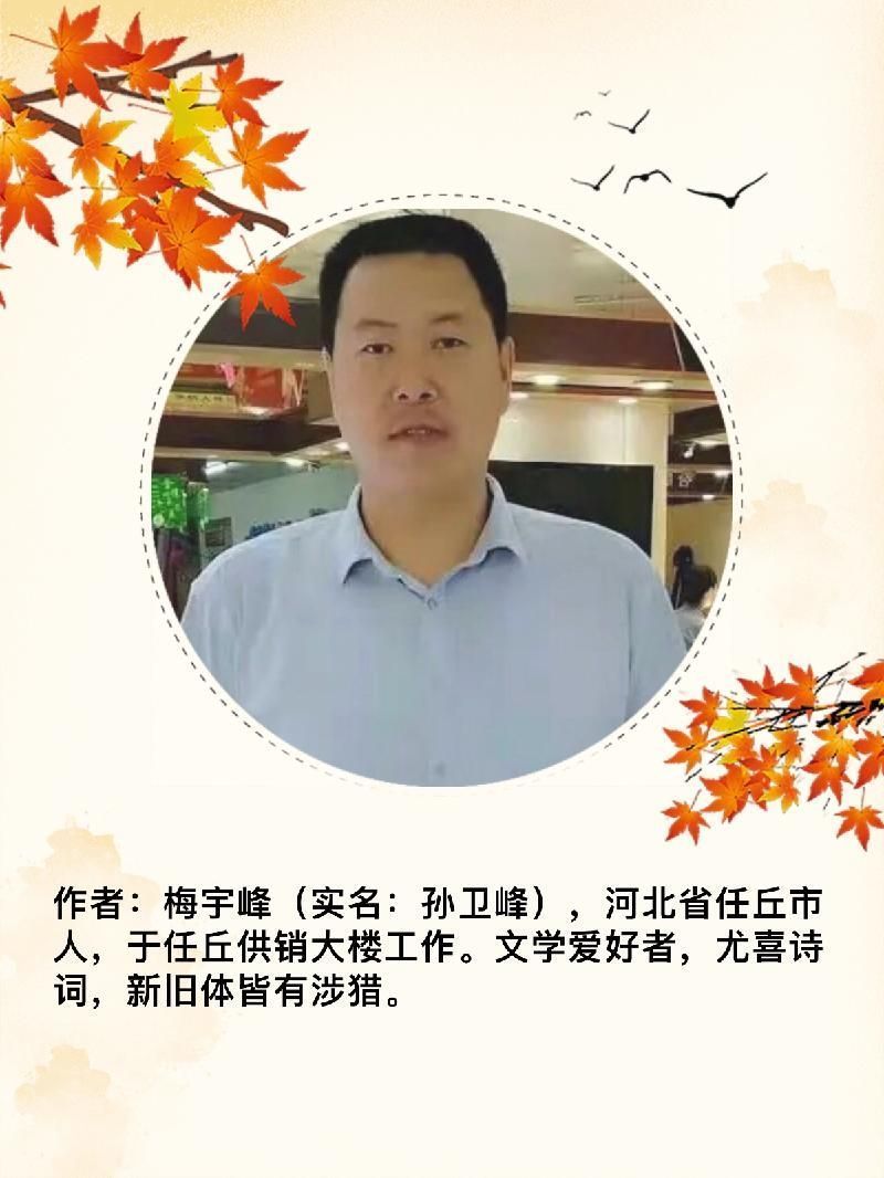 【新山东文学社】《天山雪莲》作者/梅宇峰 主播/竹林听雨（图6）