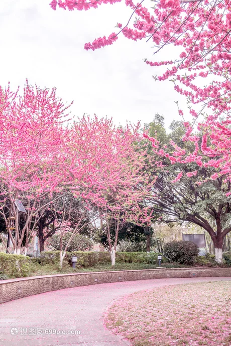 黄鹤诗苑||今日对联||三月夭桃，花须蝶影皆无赖   出联 夕儿