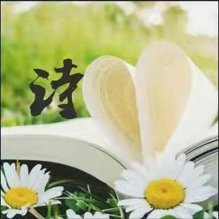 余飞扬 诗词新作欣赏 【华人诗者联盟】诗★推荐（图36）