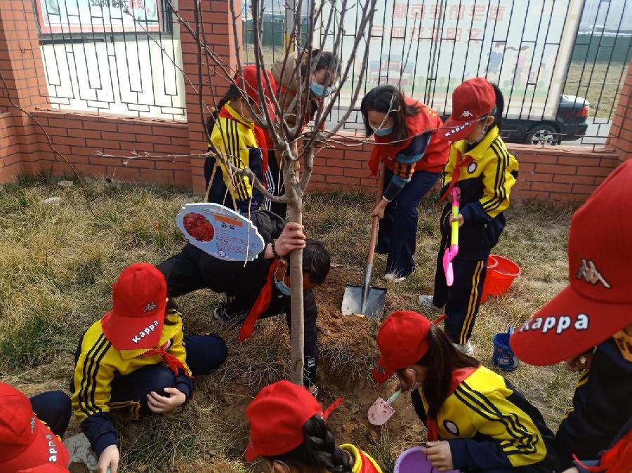 南和区幸福小学:亲手栽下一棵树,我与小树共成长——植树节活动||文/刘晓然(图10)