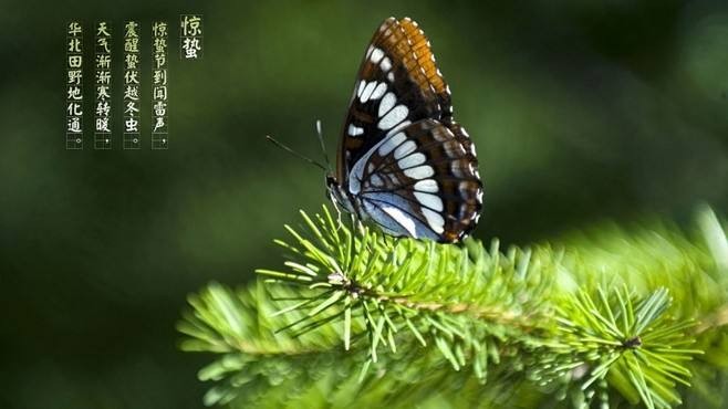 【潇湘文学社】潇湘如兰诗社《惊蛰》(总285期)(图4)