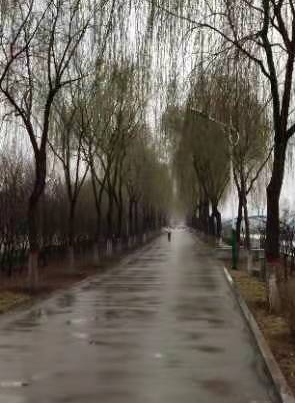 《春夜喜雨》三首 作者/乔通顺（图4）