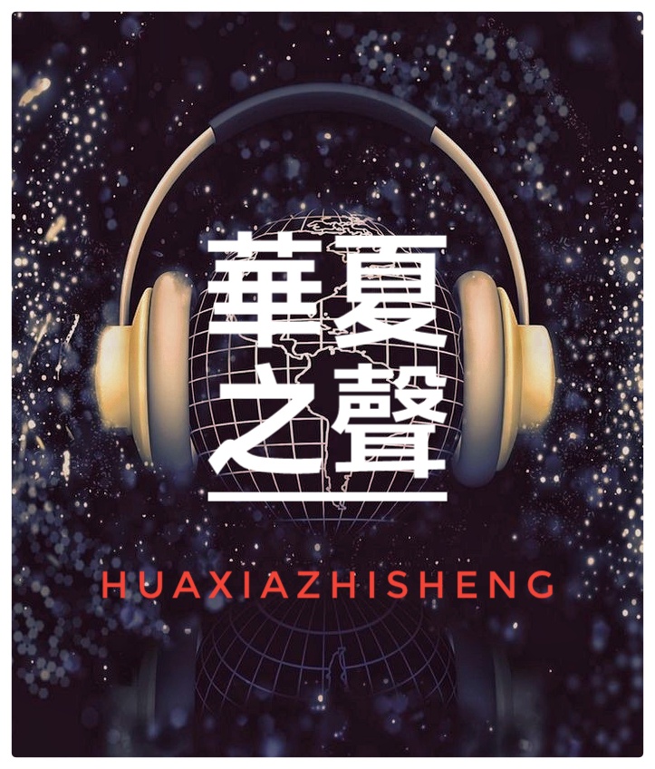 我的孩子啊 你没有走ll作者 柳树庄ll诵读 老菩提（图10）