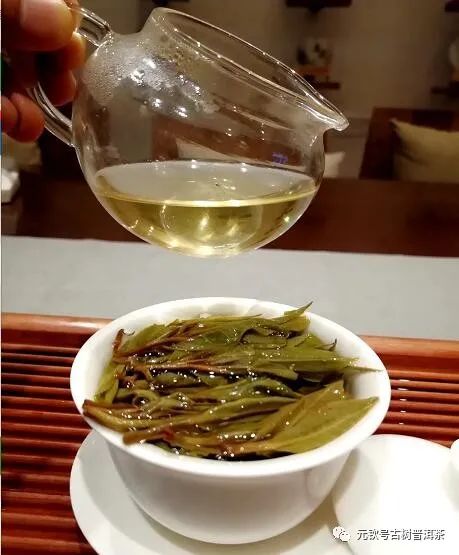 《Soberness清醒》金波主播(图9)