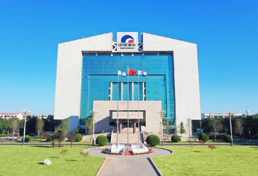 孙令波在海化集团疫情防控工作会议上强调——切实把疫情防控作为当前最重要的工作抓紧抓实（图4）